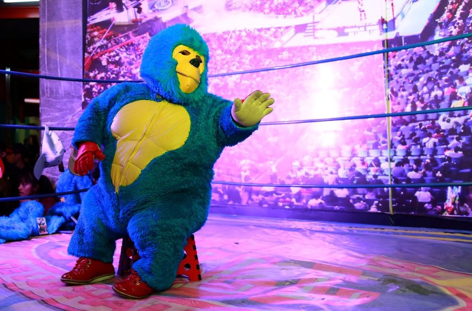 CMLL’s Kemonito is Thinking of Retirement CMLL's Kemonito is Thinking of Retirement