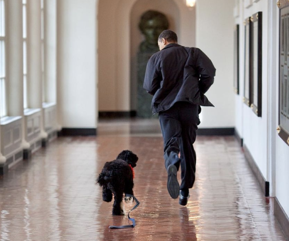 Former US President Barack Obama’s Dog Passes Away