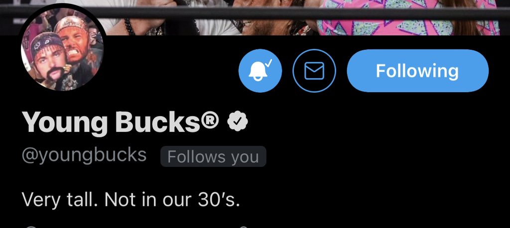 The Young Bucks Troll Fans With NXT Related Bio – Have Turned Down Many Offers From WWE In The Past The Young Bucks Troll Fans With NXT Related Bio - Have Turned Down Many Offers From WWE In The Past