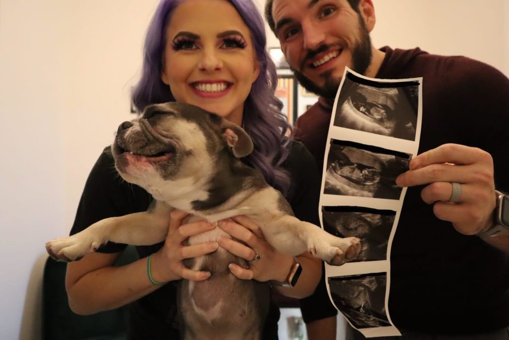 WWE NXT's Candice LeRae & Johnny Gargano Expecting First Child