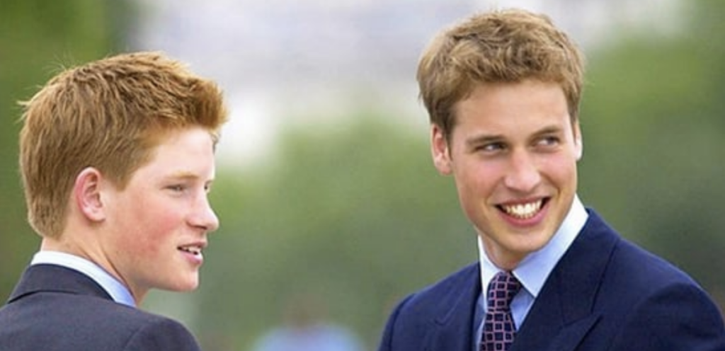 Prince William And Prince Harry