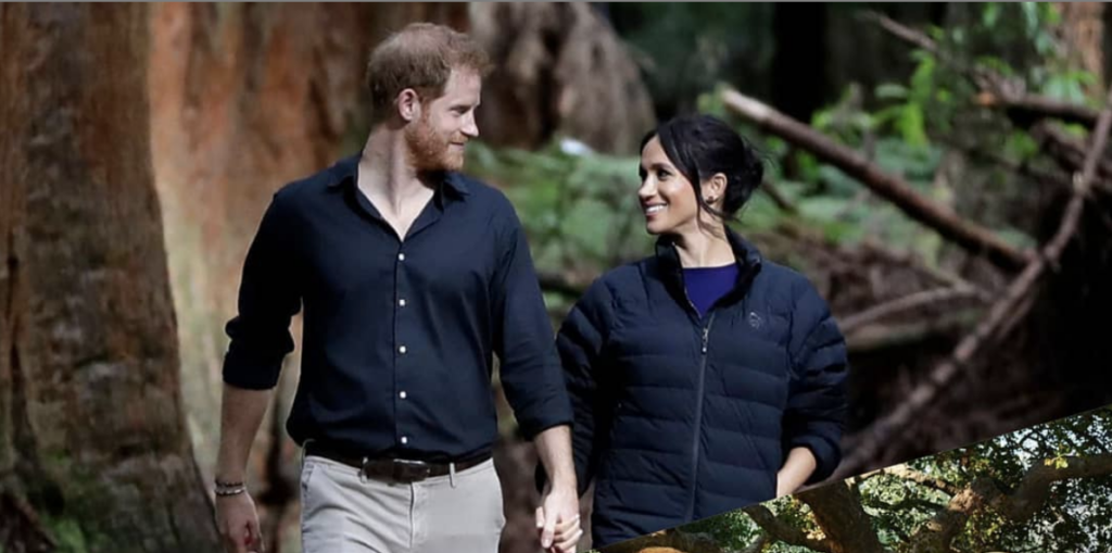 Prince Harry And Meghan Markle