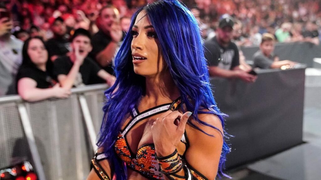 Sasha Banks Out Of Action For 6 to 8 Weeks, Will Miss WWE Royal Rumble