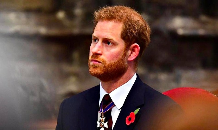 Prince Harry To Lose Queen Elizabeth’s Counsellors Of State Status If He Remains Living With In The USA