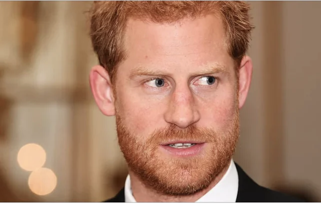 Prince Harry’s Memoir Will Tell Home Truths About Duchess Camilla ‘That Will Shake The Monarchy To The Core’ Prince Harry