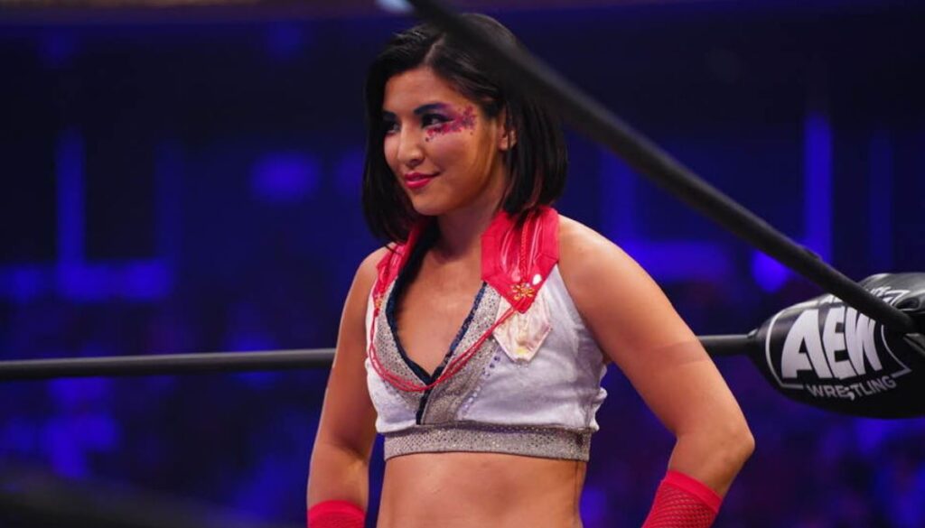 AEW's Hikaru Shida Comments On Removal From Owen Hart Memorial Cup