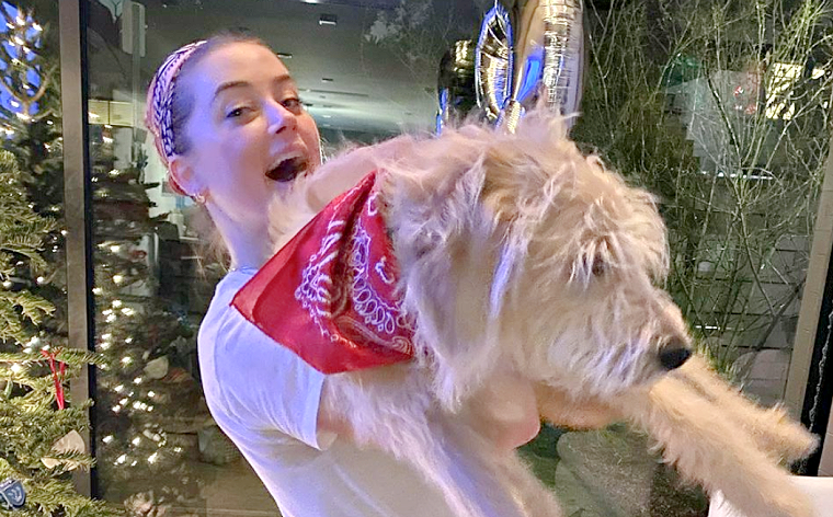 Johnny Depp Joins TikTok Following Big Win Against Amber Heard