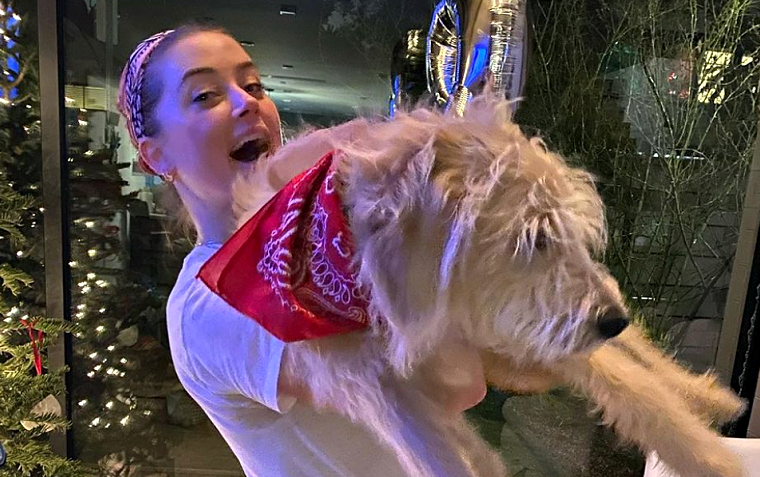 Amber Heard Will Face International Dog Trafficking Charges For Illegal Australian Importation