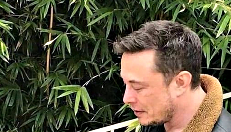 Update After Elon Musk’s Affair With Google Founder Sergey Brin’s Wife Was Exposed, Resulting In Their Divorce