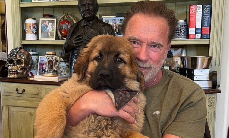 Miriam Margolyes Not Fond Of Working With Arnold Schwarzenegger – Says He Farts Too Much