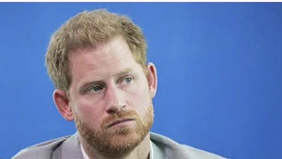 Prince Harry MOCKED and RIDICULED As ‘Meghan’s Mouthpiece’ Following Disaster UN Speech Prince Harry