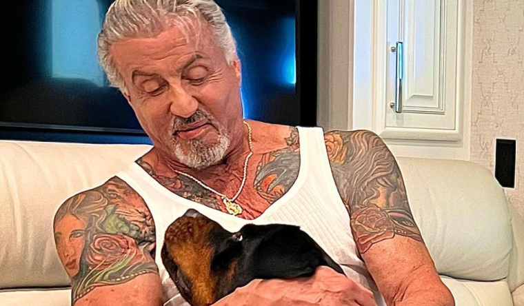 Jennifer Flavin Cherishes The Time Spent With ‘Greedy’ Sylvester Stallone While Accusing Husband Of Hiding Marital Assets