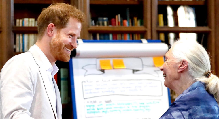 Prince Harry’s Making Last Minute Changes To Memoir – ‘It Might Be Too Late’