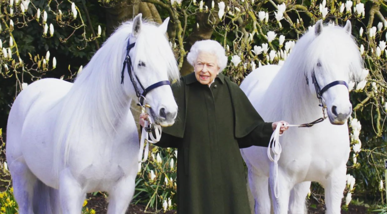 Queen Elizabeth FANS SLAM King Charles III For Deciding To Sell Monarch’s Horses – ‘GOD FORBID YOU FROM SELLING’