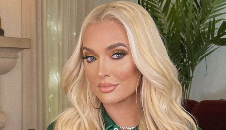 RHOC: Heather Dubrow Calls Out ‘Fancy Pants’ Erika Jayne For Being Rude