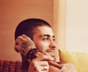 Zayn Malik Scores First Movie Role In '10 Lives'