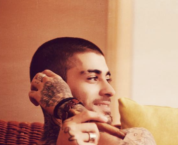 Zayn Malik Scores First Movie Role In ’10 Lives’ Zayn Malik Scores First Movie Role In '10 Lives'