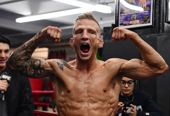 Dillashaw Seeks “135-Pound GOAT Status”