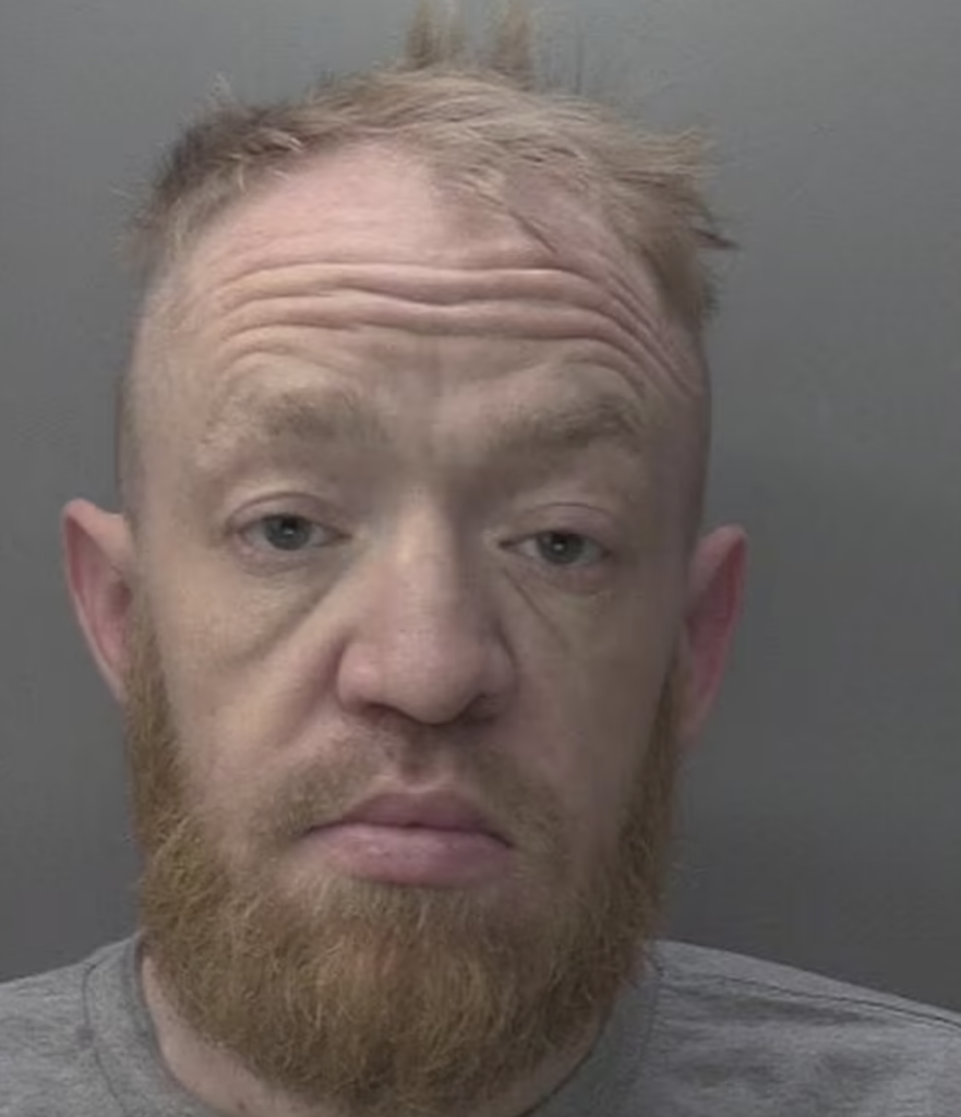 Conor McGregor Lookalike Sentenced For Breaching Covid Regulations And Possession Of Drugs And A Fake Firearm