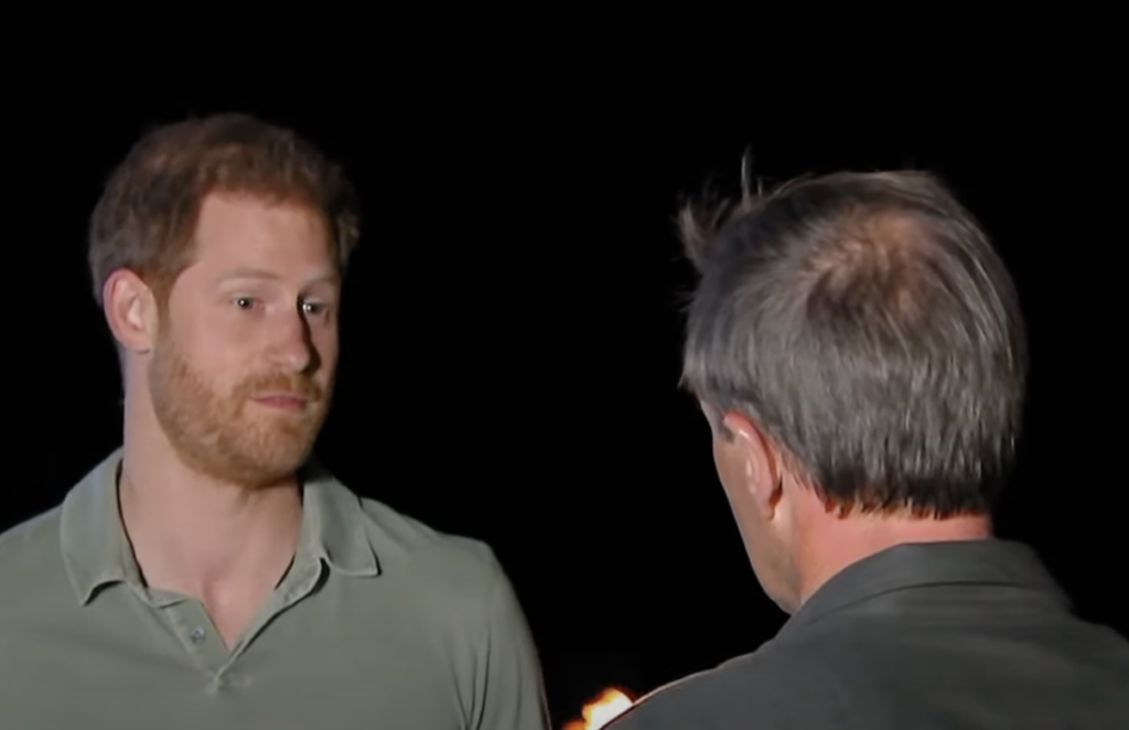 Prince Harry Will Reportedly Discuss His Memoir In A Bombshell Interview With Tom Bradby