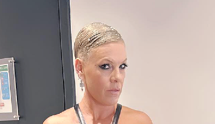 Pink Denies Shading Christina Aguilera &ndash; &lsquo;I Don&rsquo;t Need To Kiss Her A**&rsquo;