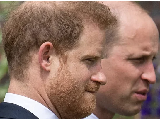 Prince William Has Been Suffering From His Fallout With Harry